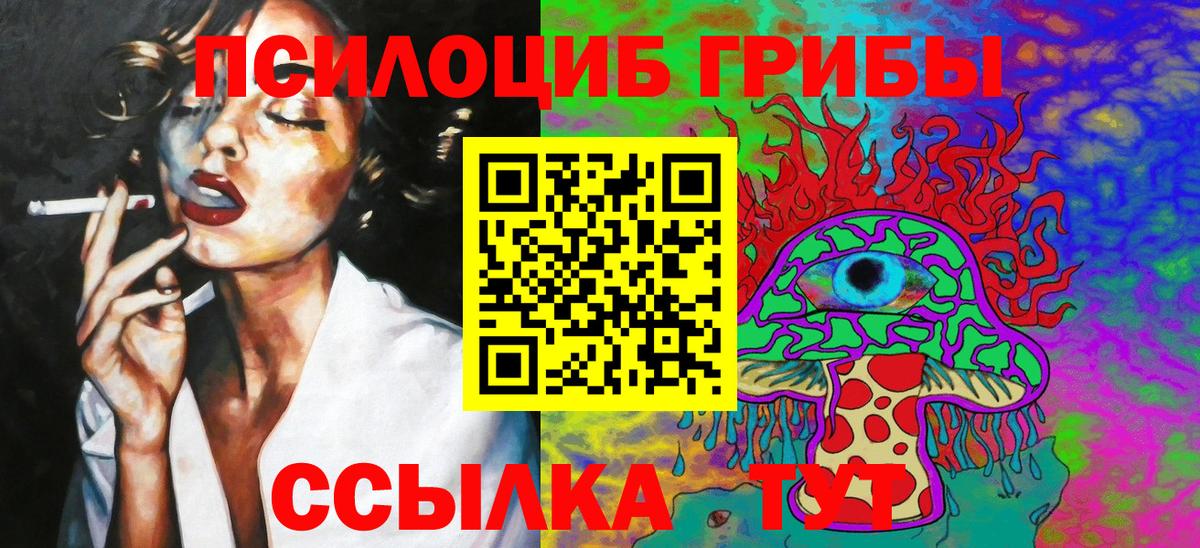 Галлюциногенные грибы Psilocybine cubensis Кыштым