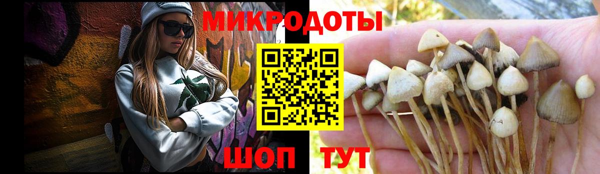 Кыштым  Галлюциногенные грибы GOLDEN TEACHER  Вход с VPN 