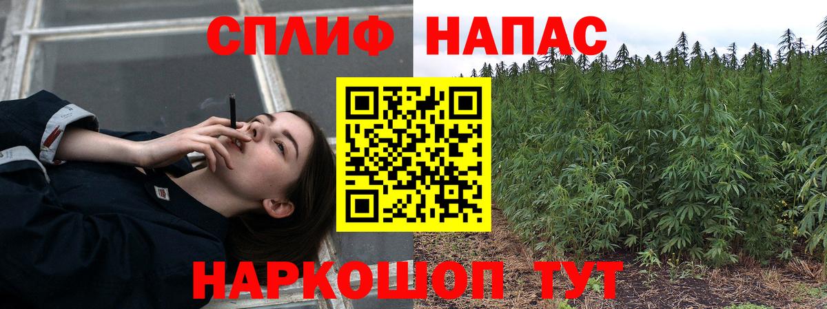 Марихуана ГИДРОПОН  Вход с VPN  Кыштым  Конопля тримм  Бошки Шишки Bruce Banner  Бошки Шишки планчик 